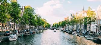 Reizen met de Bus en Tram Een Complete Gids