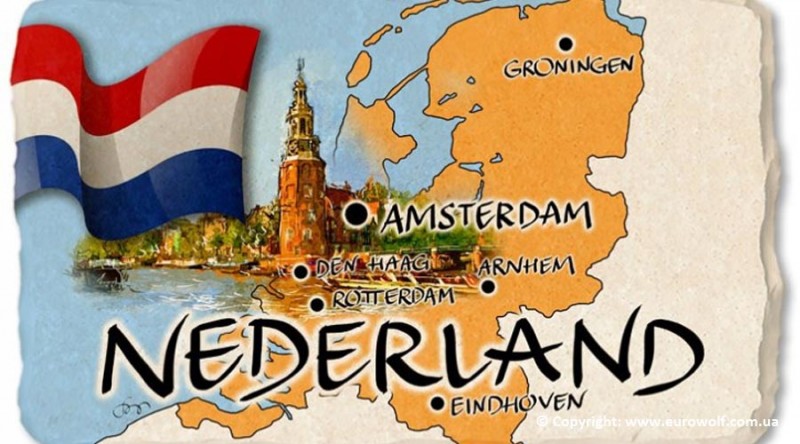 Reizen met de Bus en Tram Een Complete Gids