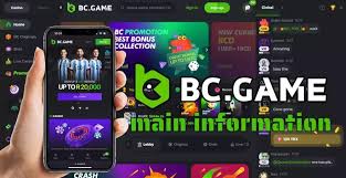 Step-by-Step Guide to the BC.Game Registration Process 628349098