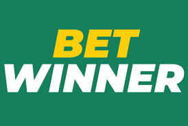 Discover Betting Opportunities with BetWinner Platform