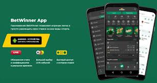 Experience the Thrill of BetWinner Aviator Game Experience the Thrill of BetWinner Aviator Game
