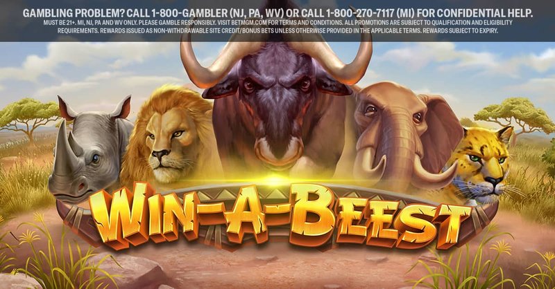 Learn about winbeast online casino